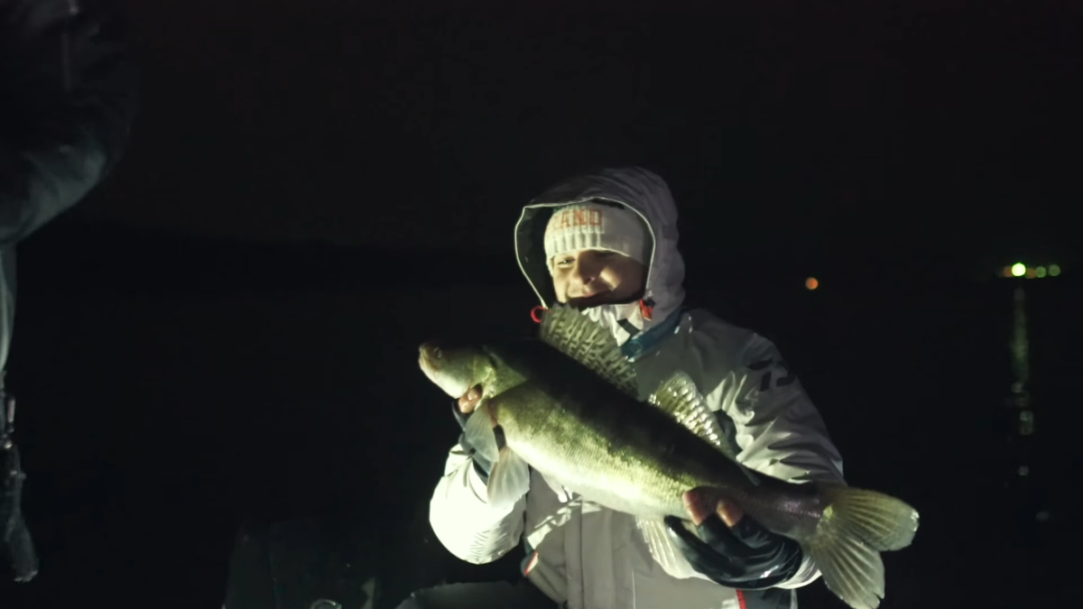 Крупный судак