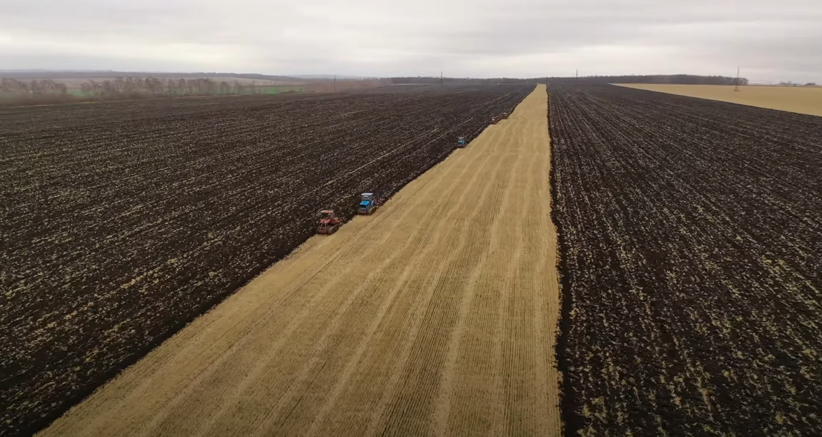 Коллективное хозяйство значительно увеличивает экономическую эффективность