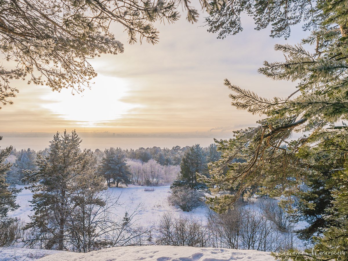 (Фото: Евгения Муравская)