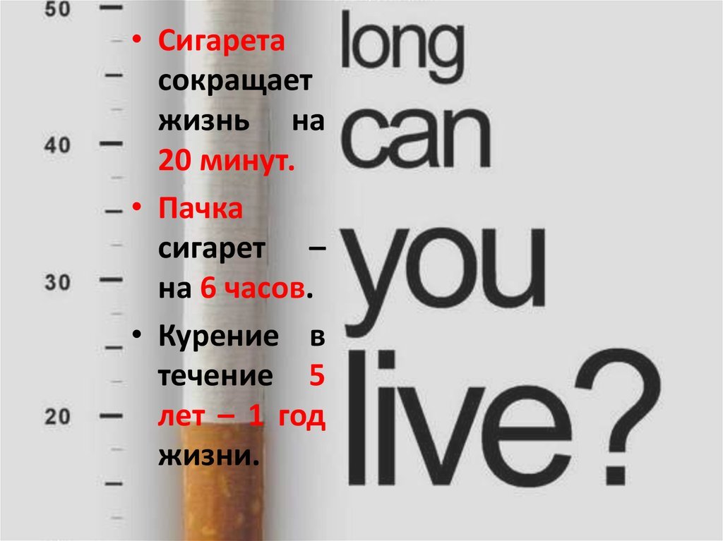 О вреде курения сигарет знают все, но вот о том, вреден ли кальян – до сих пор ведутся оживленные споры.-2