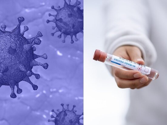 Фото - pixabay.com