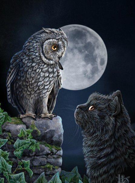 фото с просторов интернета