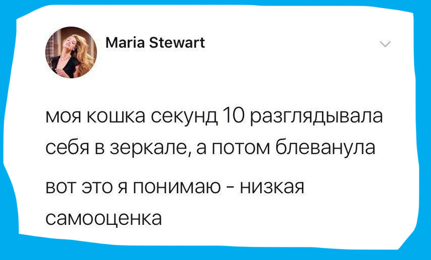 Twitter: Maria Stewart