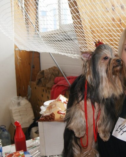 Юниоры. Топ-нот, который делали 2 часа))