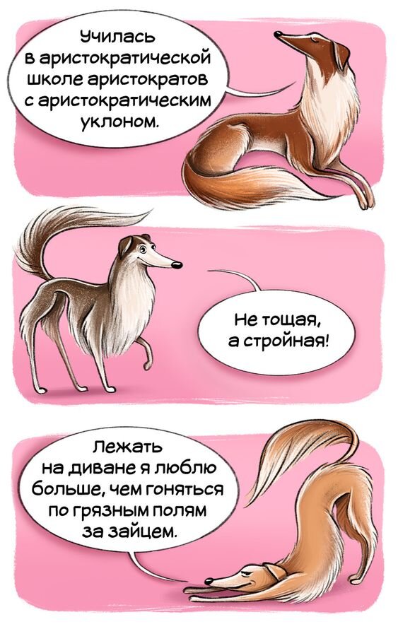 Салюки