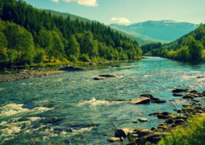 Фото с просторов интернета 