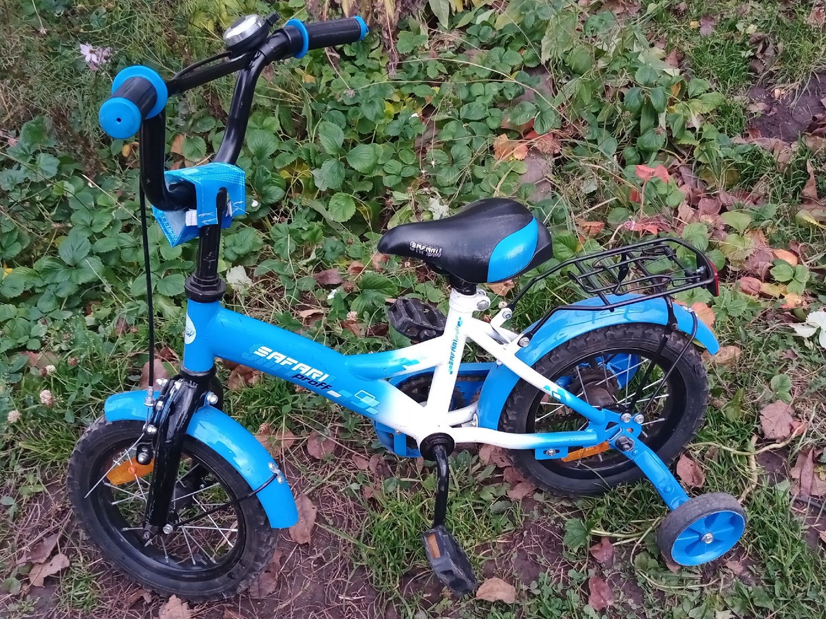 12 радиус колёс как раз должен подойти для детей-дошкольников