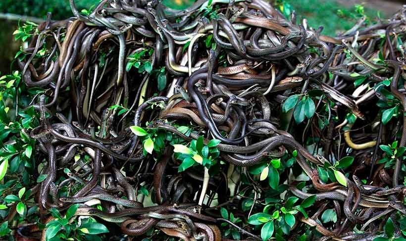 Подпишись и поставь лайк!