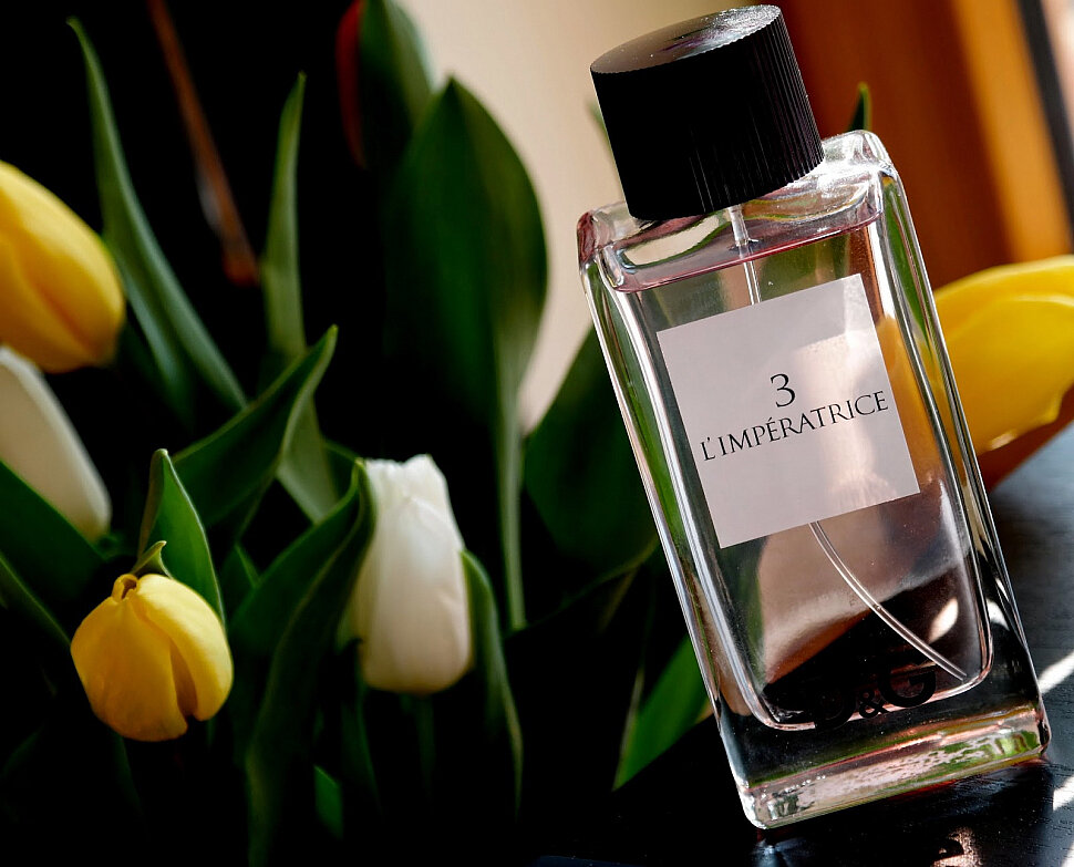 Фото взято из открытых интернет источников.