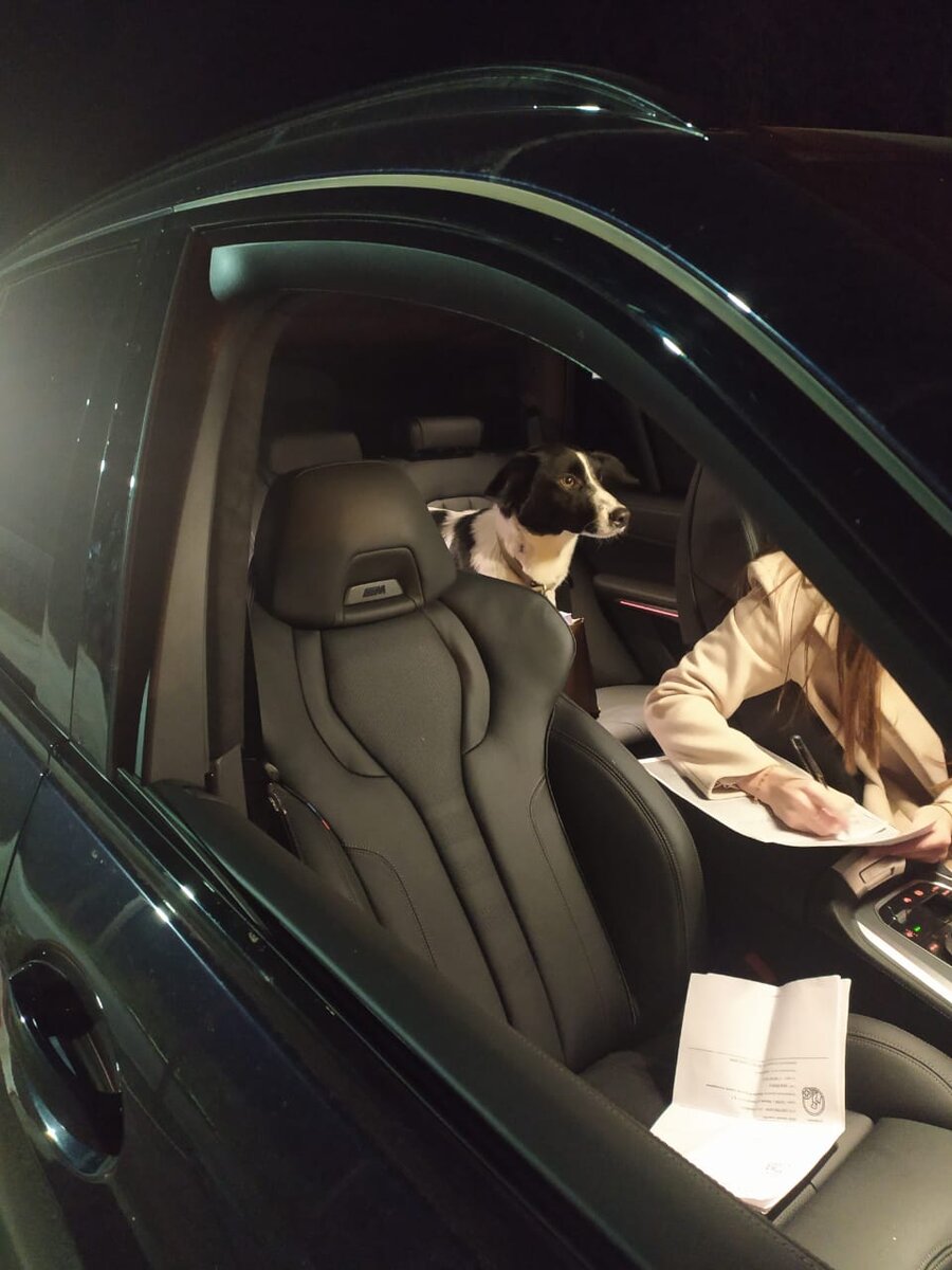 Бим (передача семье)