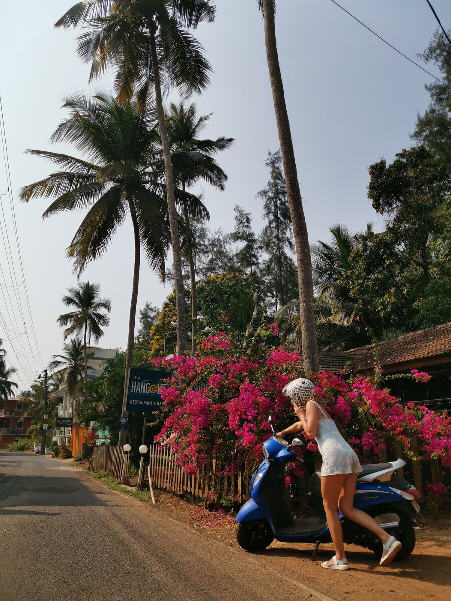 Siolim, Goa 