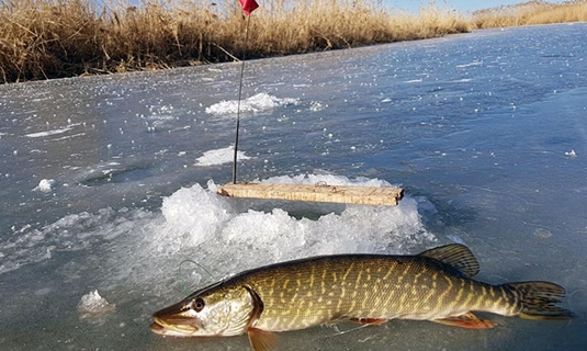 Нашёл в интернете 