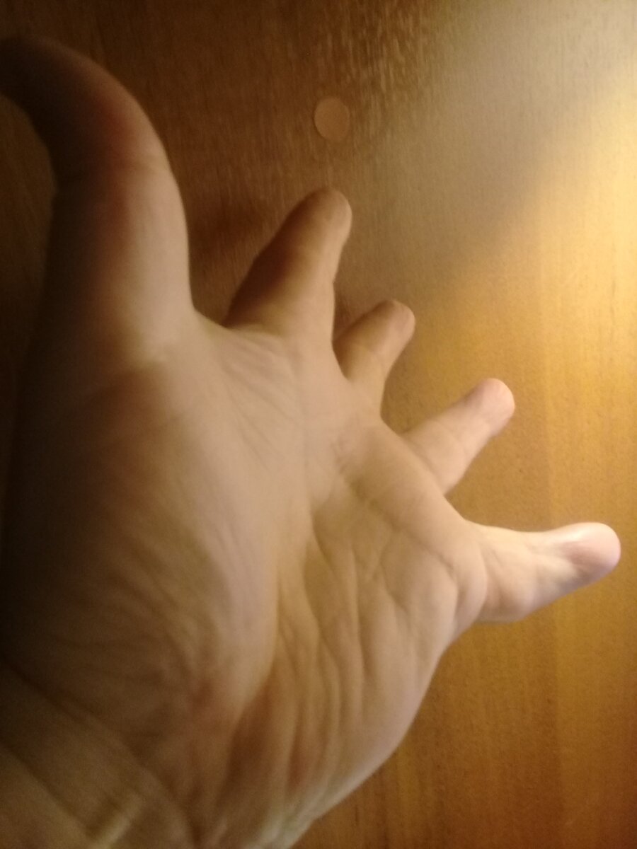 Фото автора.