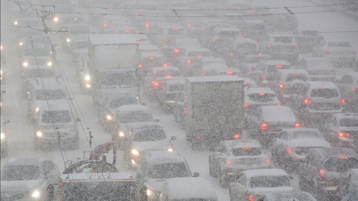 Видишь выделенку?.. А она есть! Ты водитель, "ты обязан".