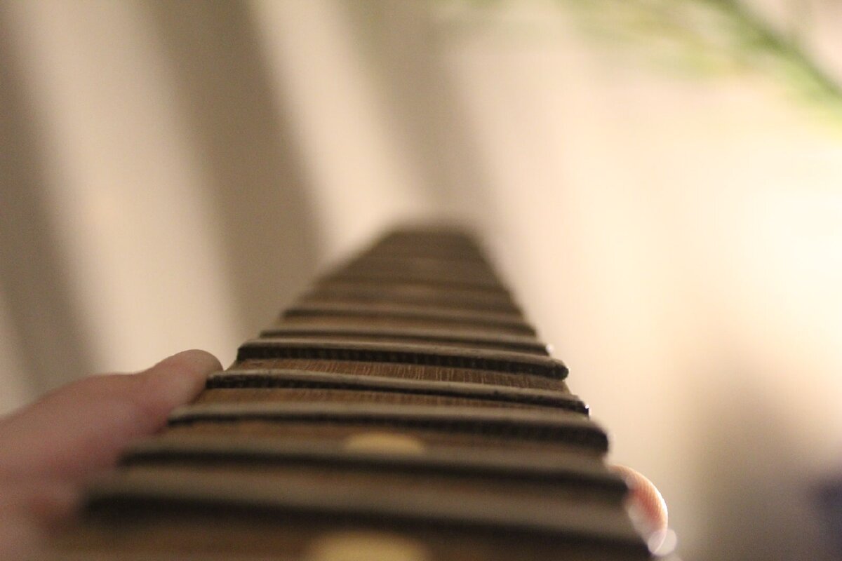 Лады все вылезли