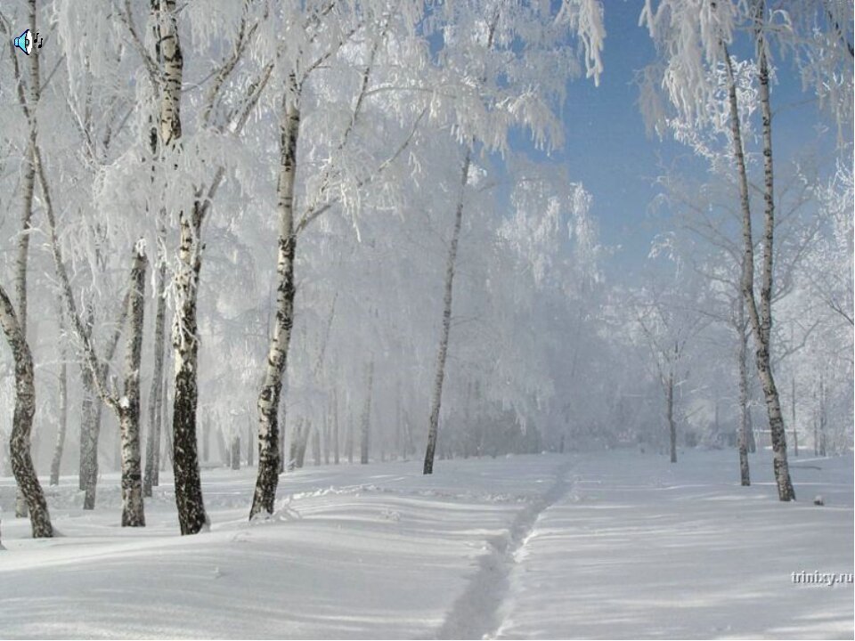 зимняя красота 