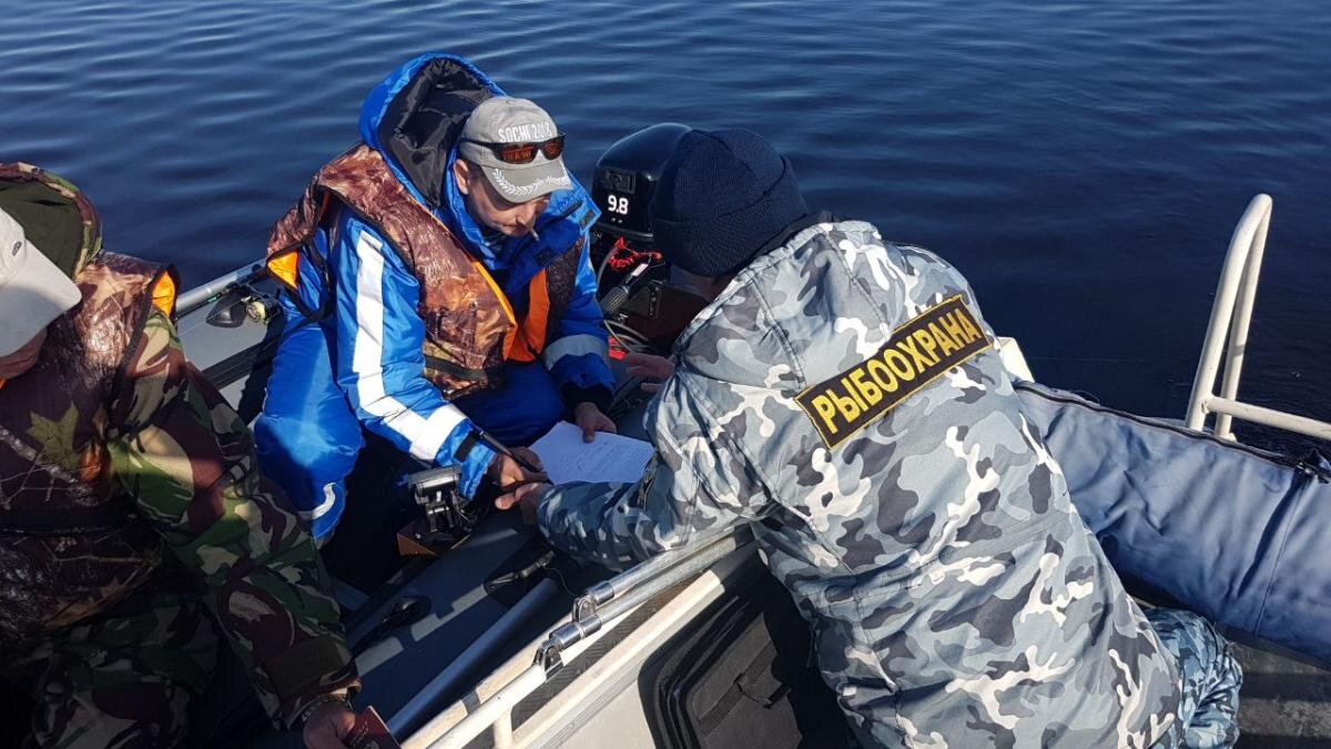 Рыбалка с лодки в нерестовый период грозит штрафом, но инспекторы не имеет  права запрещать плавать на лодке, ихтиолог разъясняет | Заметки ихтиолога.  | Дзен