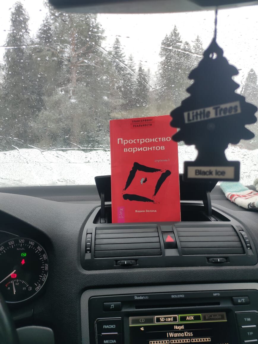 Трансерфинг реальности 