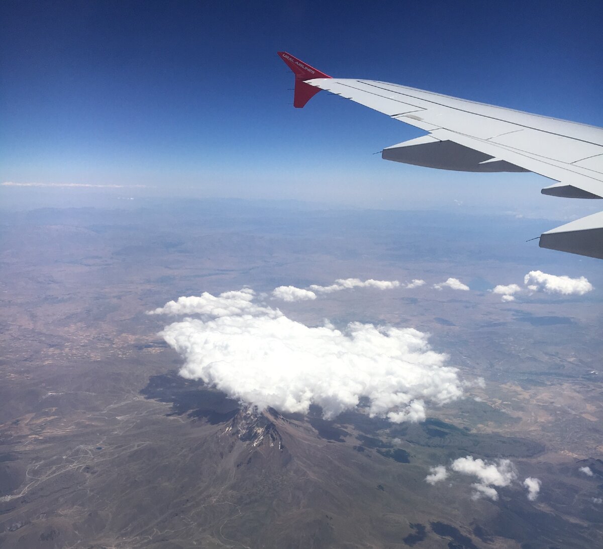 Не только птицы летают