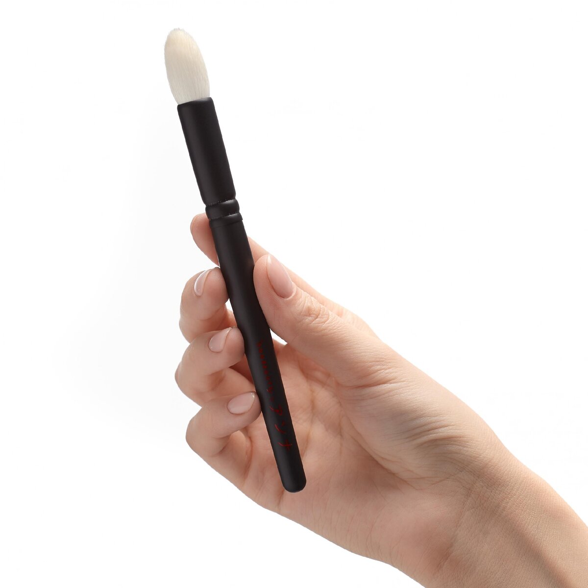 Кисть и Annbeauty S29 в руке