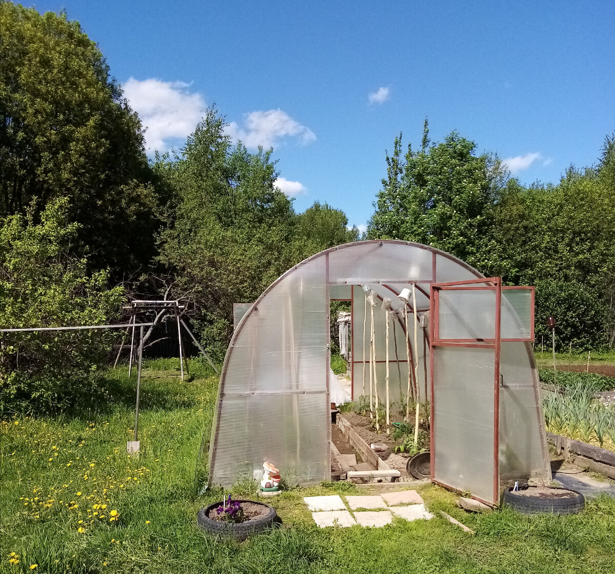 Фото автора