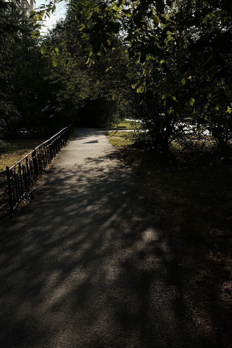 Красивый светотеневой рисунок на тратуаре