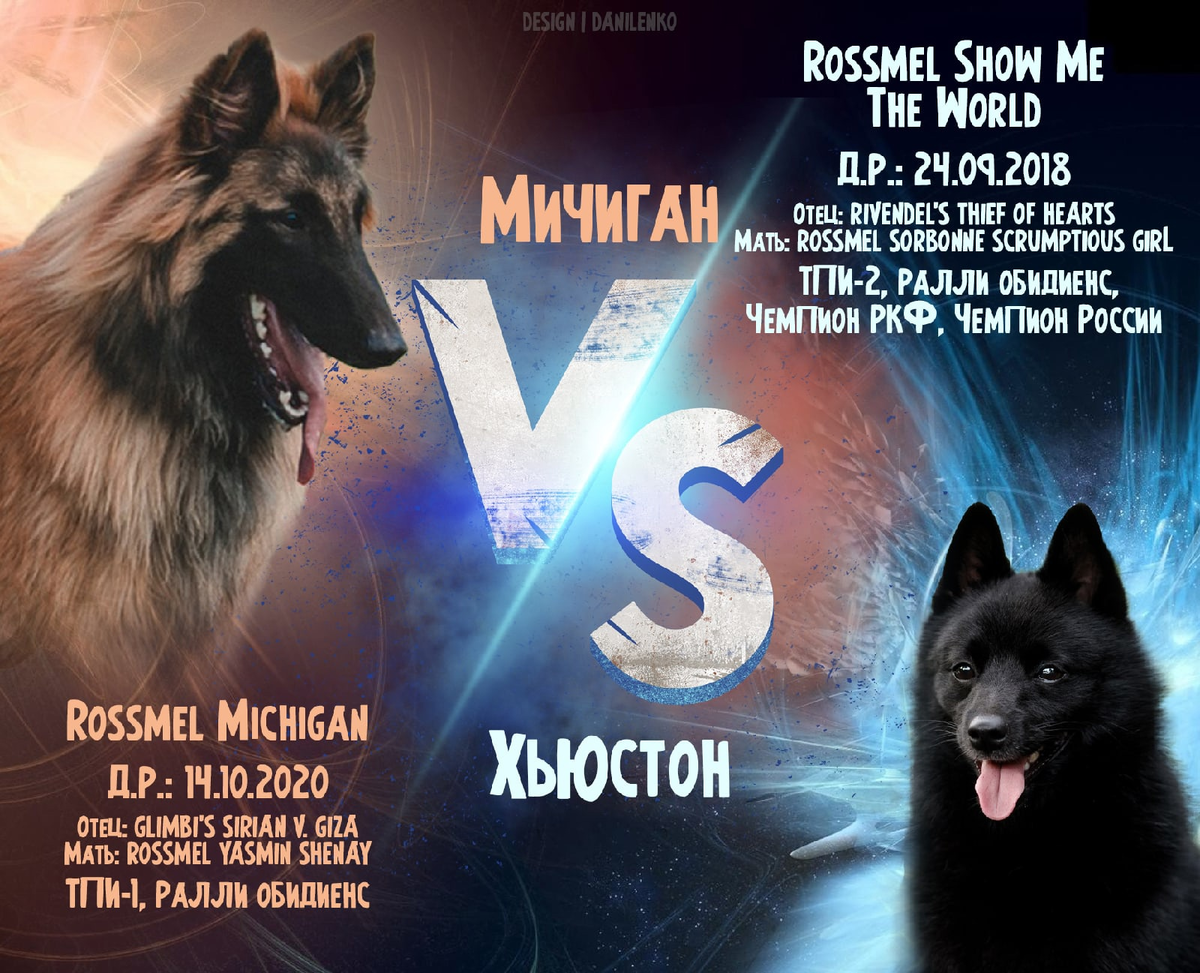 мои бельгийские проблемы