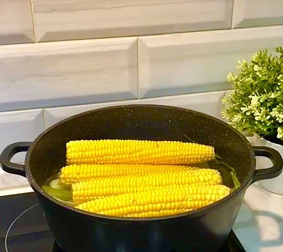 В публикации использованы фото из открытых источников