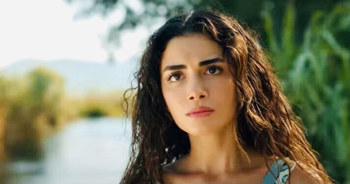 Фото из общедоступных источников 