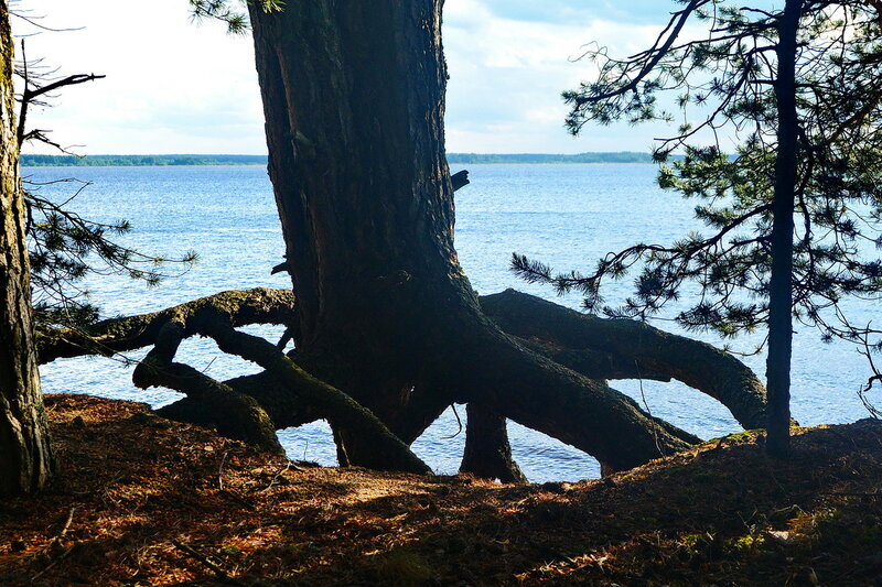 Коприно. Все фото статьи авторские