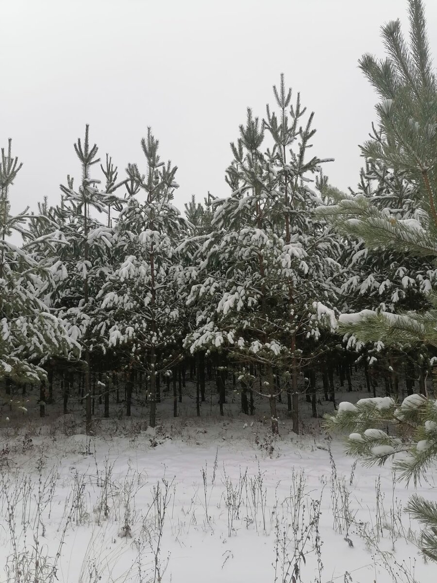 Фотография из личного архива автора