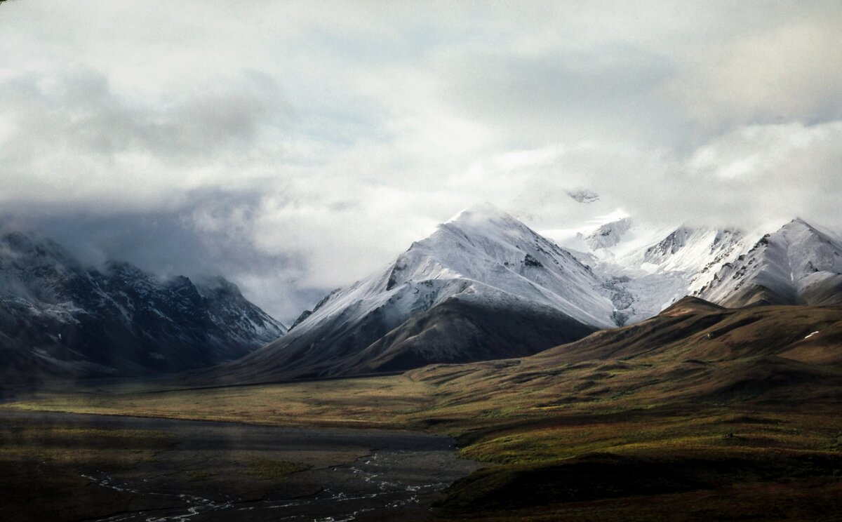 Фото: Nathan Anderson / Unsplash