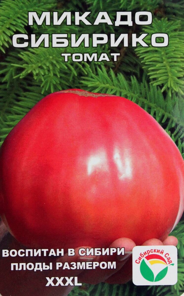 томат мамонтенок характеристика и описание сорта фото