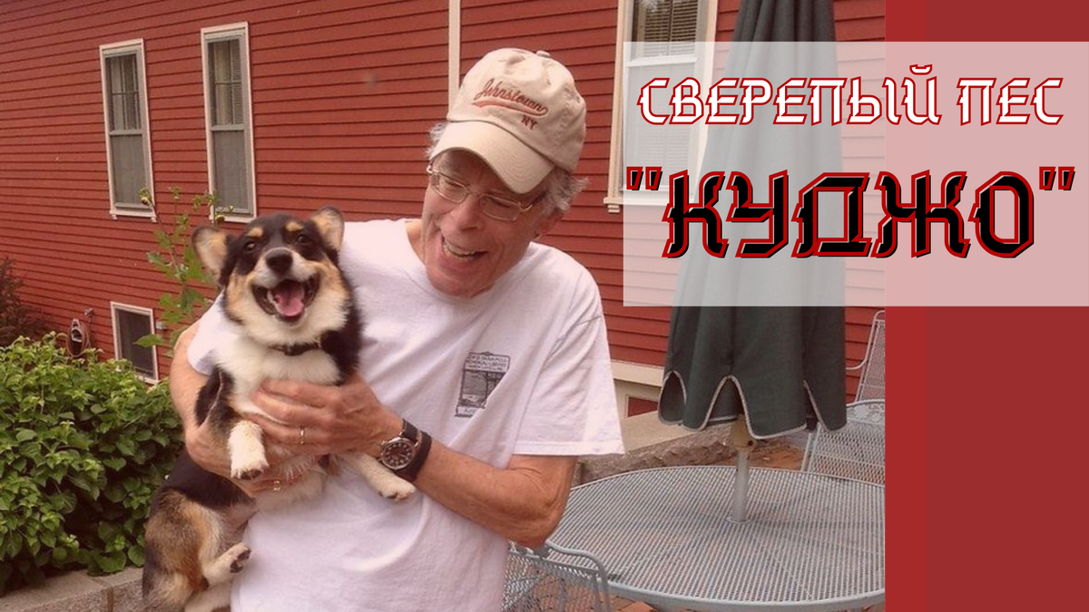 Стивен Кинг со своей собакой Молли