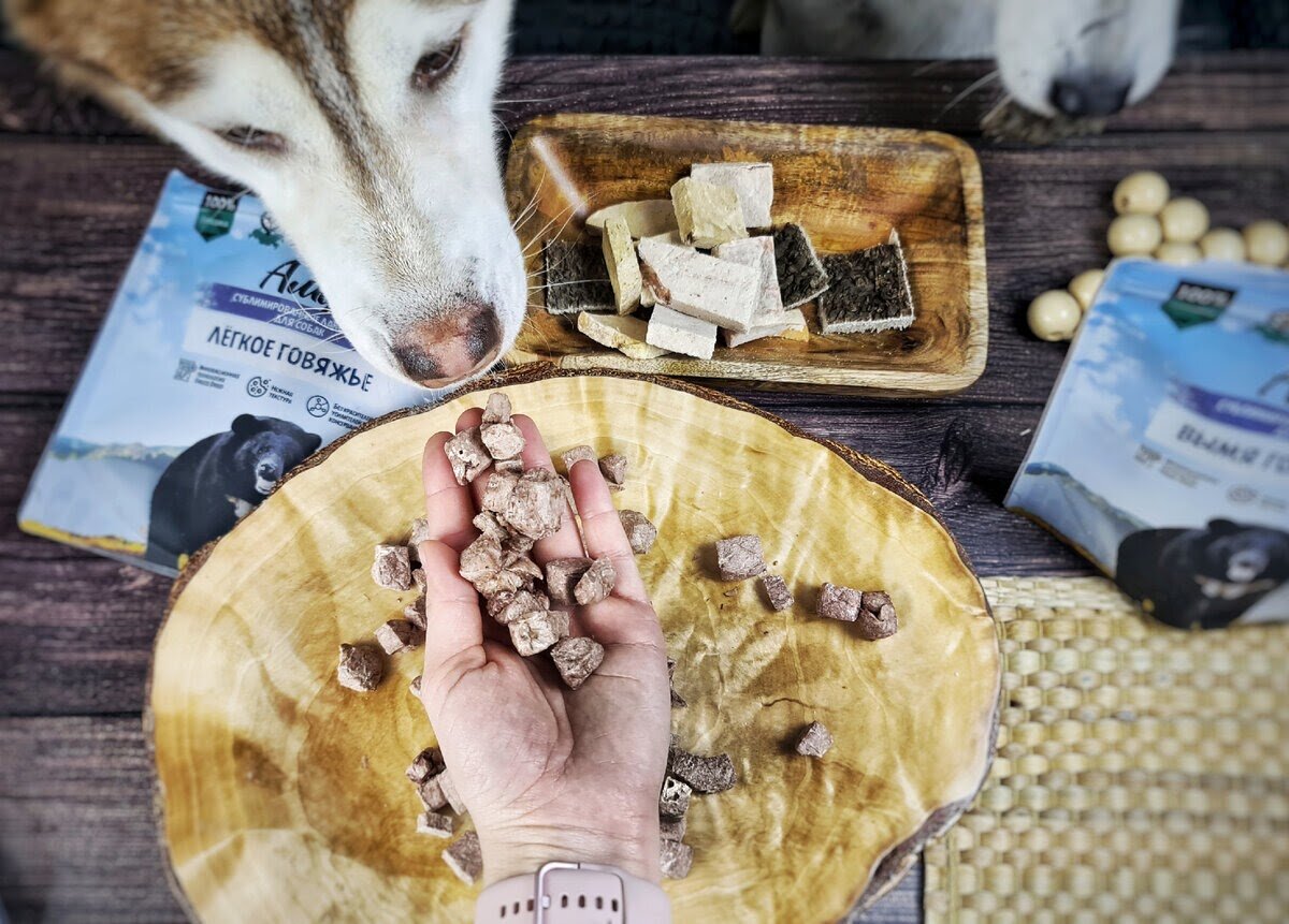 Чем побаловать собак, чтоб это было не только вкусно, но и полезно? | In  Dogs we Trust | Дзен