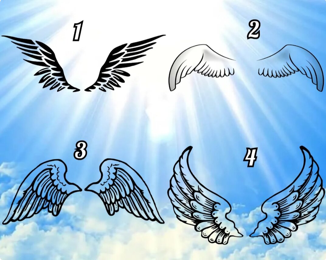 Крылья по английски. Форма крыльев. Тест крылья. Какие бывают крылья. Как узнать как зовут твоего ангела хранителя.