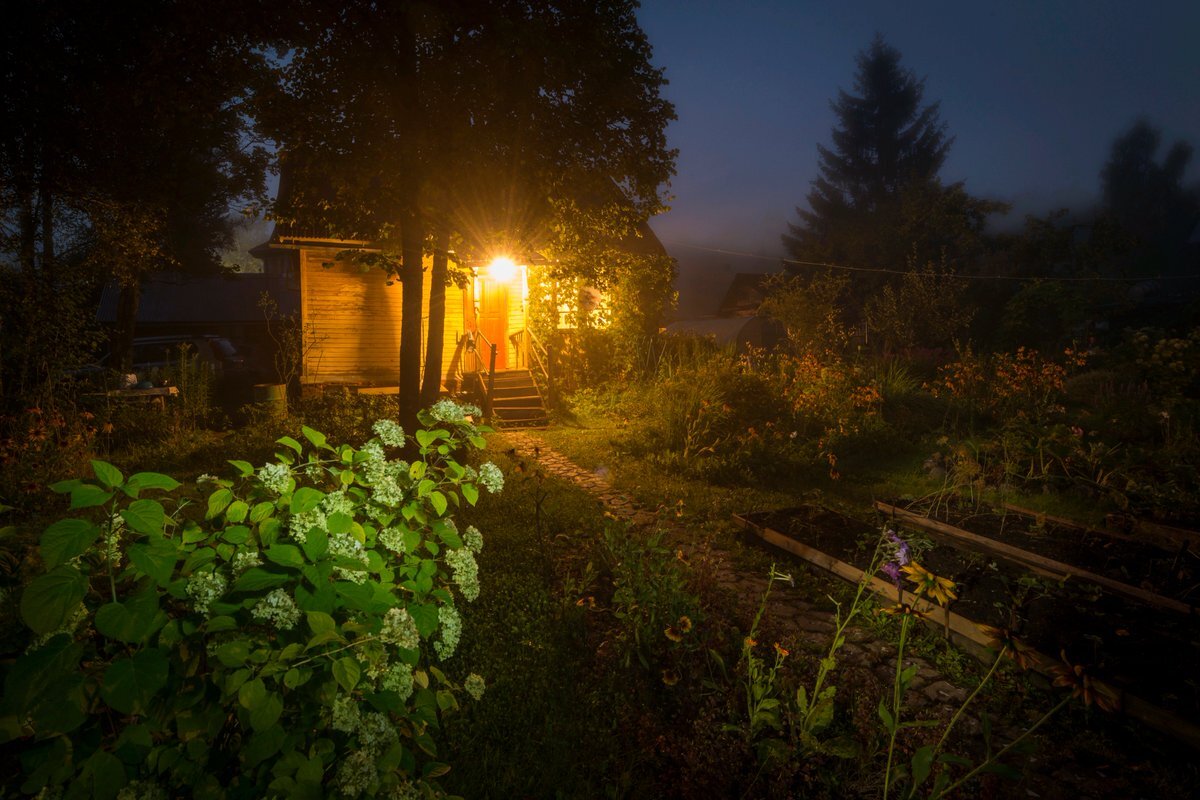 фото из интернета