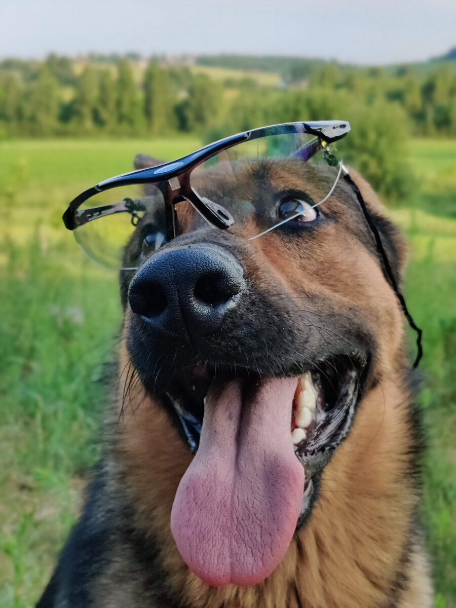 Наш главный терапевт