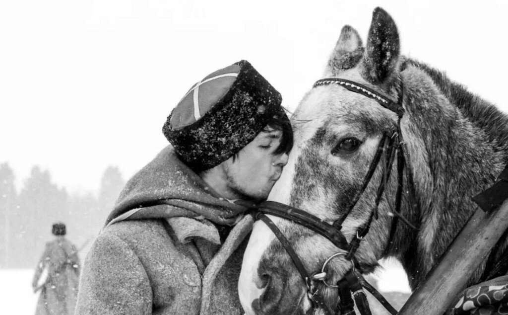 Песня не для меня придет. Белогвардейский Орленок. Казаки на конях. Казачий конь. Казак на лошади.