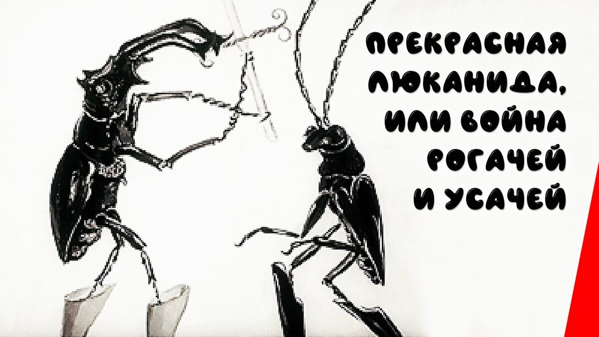 изображение из интернет
