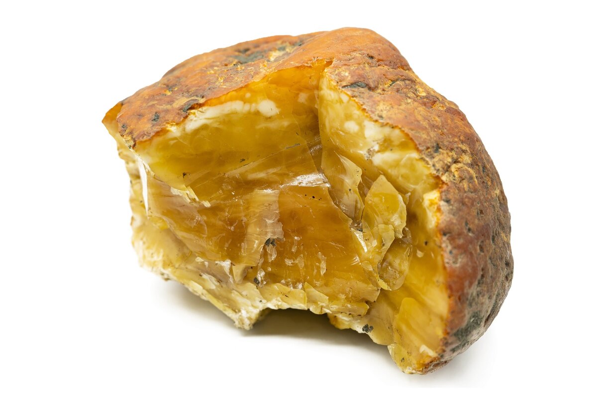 янтарная шкатулка калининград музей.