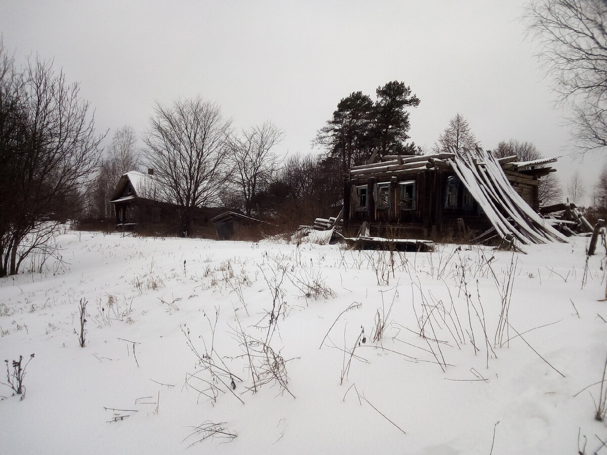 Заброшенные деревни Нижегородской области | Уйду в лес | Дзен