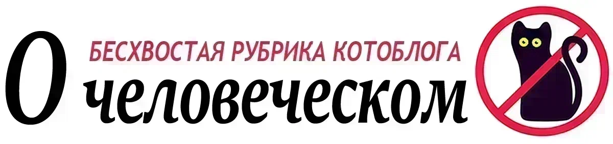 #бесхвостая рубрика Как и обещала, для тех кого нет в нашем "телеграм-канале" (ссылка), я поставлю здесь рассказ про встречу с двумя моими дорогими читательницами.