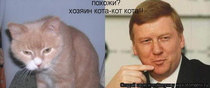 рыжие кот и чубайс
