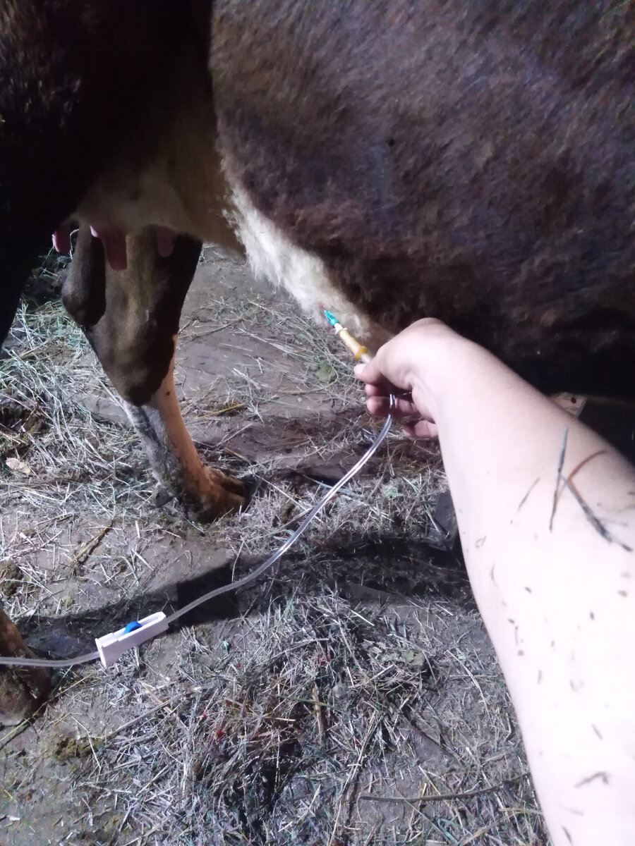 Порой приходится