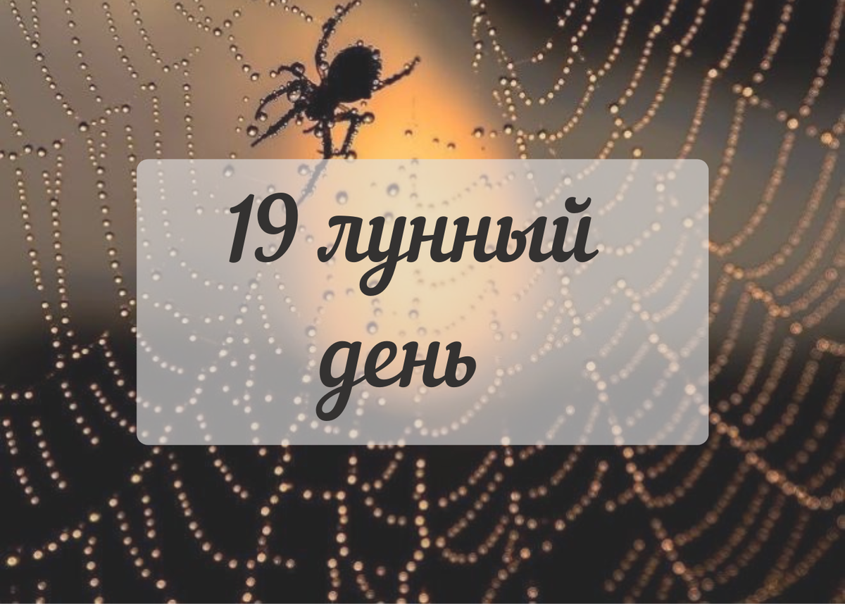 18 лунный день картинки