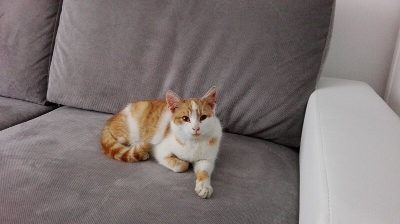 Фото из Интернета.