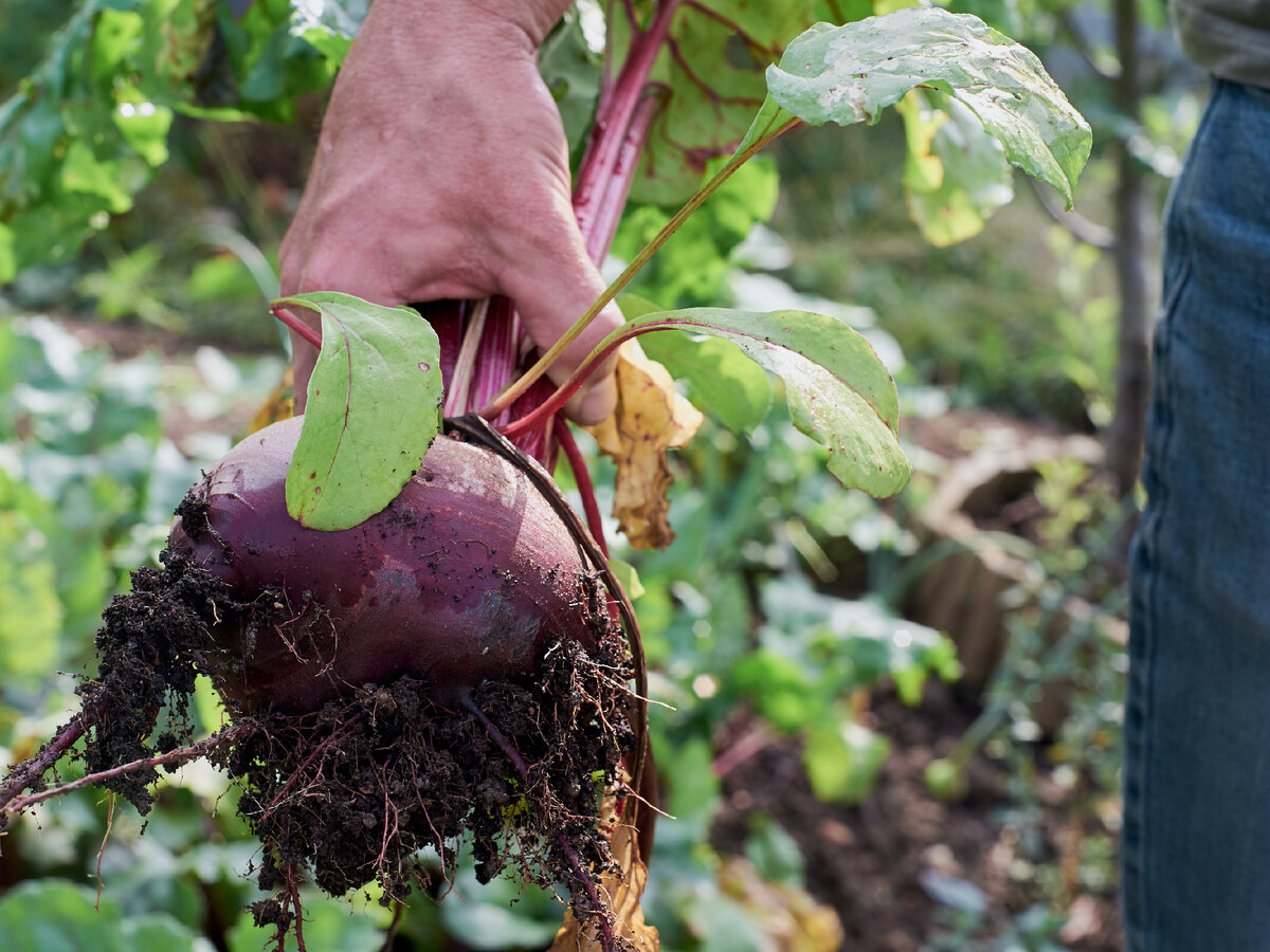 Фото: vnimanie.pro