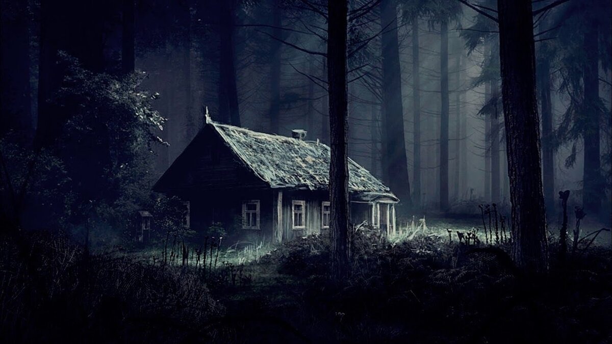 фотография из открытых источников