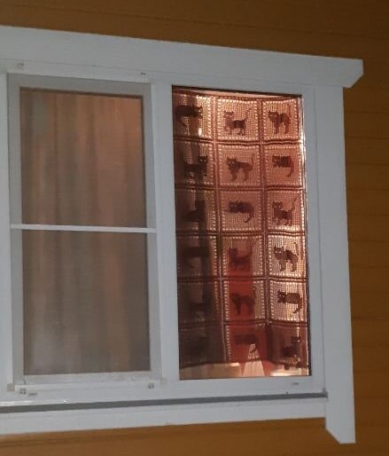  Что интересно - днем с улицы занавеску вообще не видно, просто темное стекло. А когда вечером в комнате горит свет -котята видны четко.